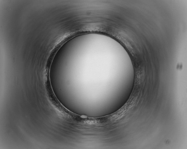 X0000098050160200804111321