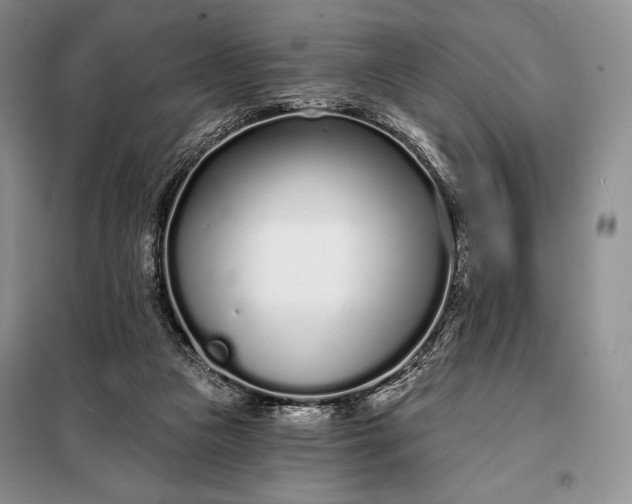 X0000098050161200804111321