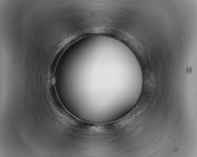 X0000098050164200804111321