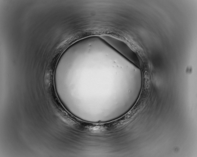 X0000098050165200804111321