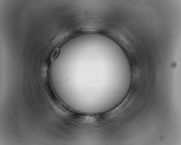 X0000098050166200804111321