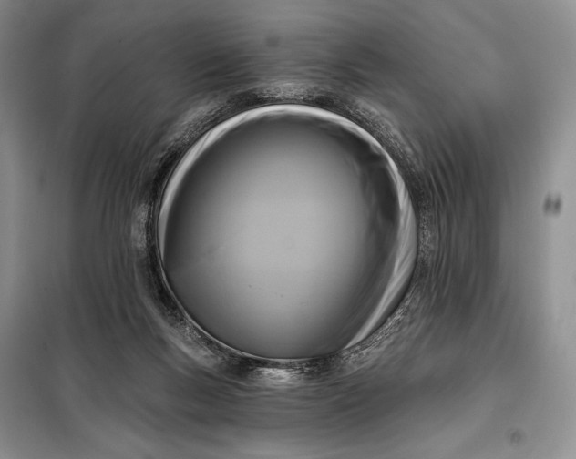 X0000098050167200804111321