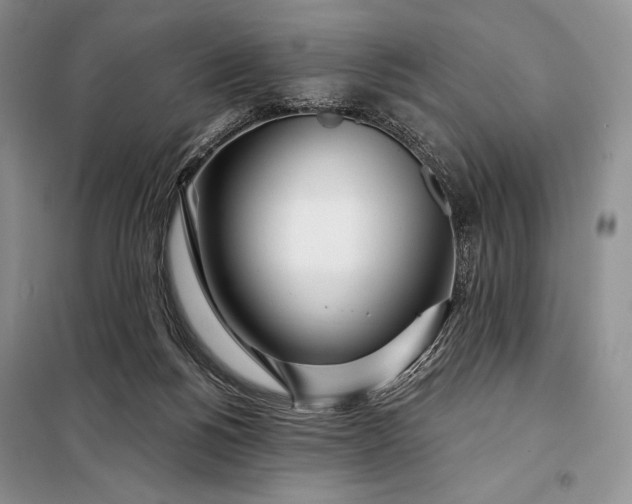 X0000098050168200804111321