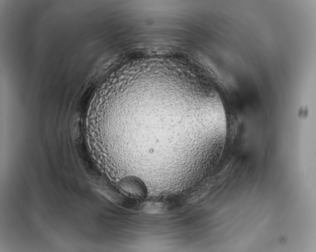 X0000098050169200804111321