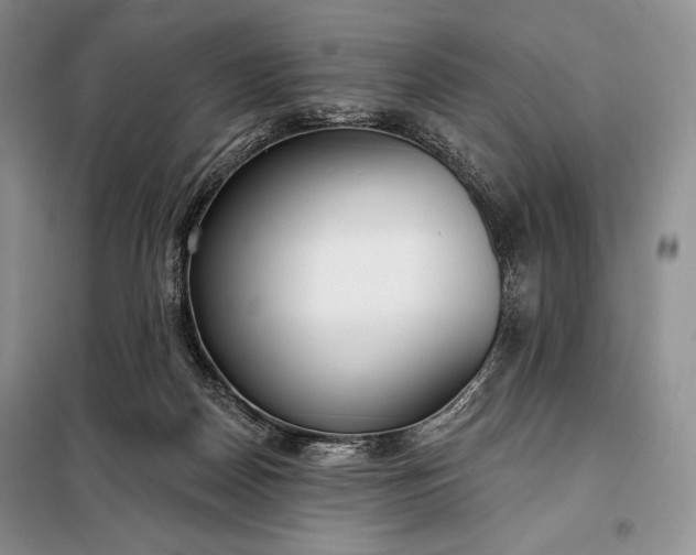 X0000098050170200804111321