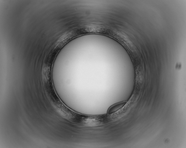 X0000098050171200804111321