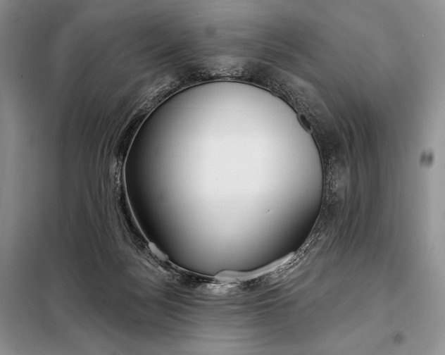 X0000098050172200804111321