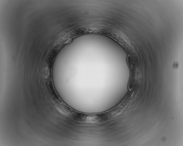 X0000098050173200804111321