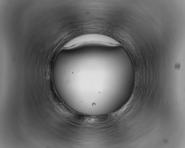 X0000098050174200804111321