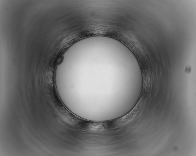 X0000098050175200804111321