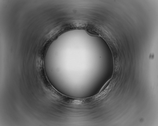 X0000098050176200804111321