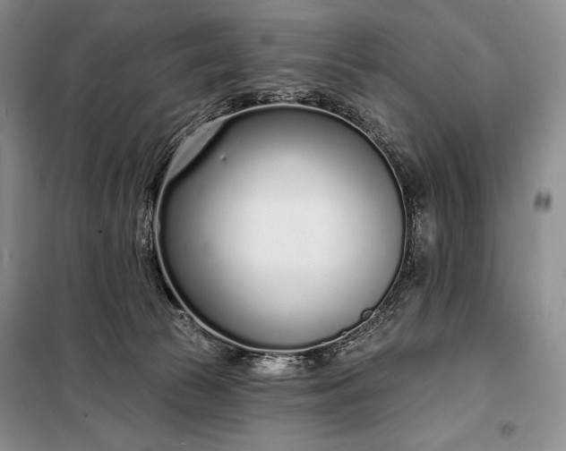 X0000098050177200804111321