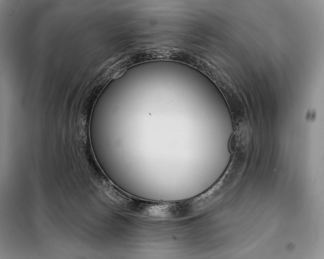 X0000098050178200804111321