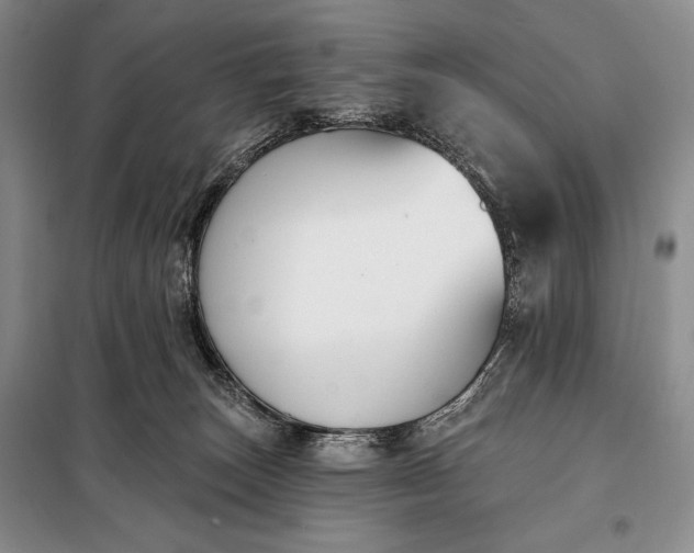 X0000098050179200804111322