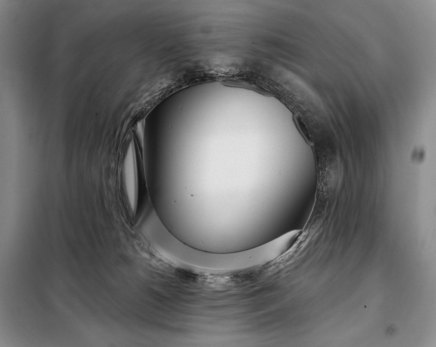 X0000098050180200804111322