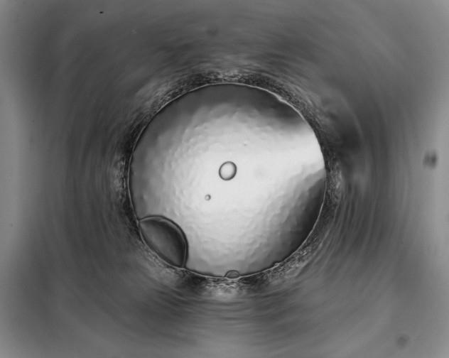 X0000098050181200804111322