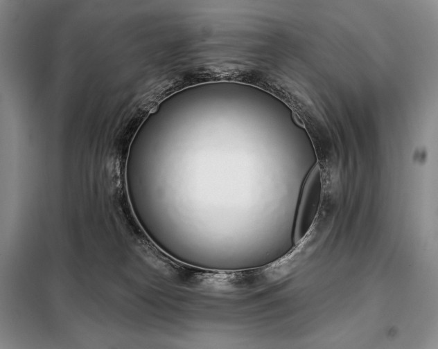 X0000098050182200804111322