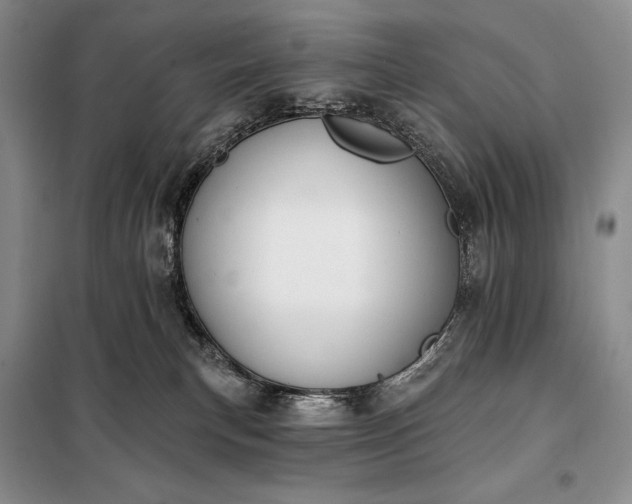 X0000098050183200804111322