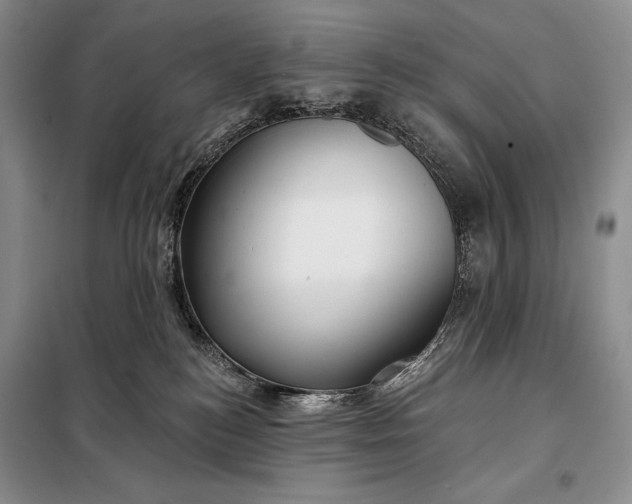 X0000098050184200804111322