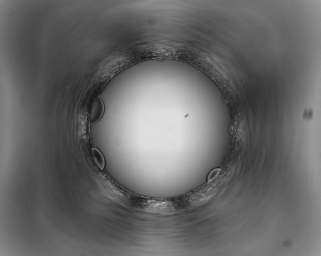 X0000098050185200804111322