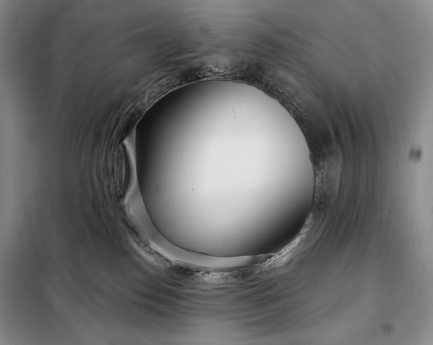 X0000098050186200804111322