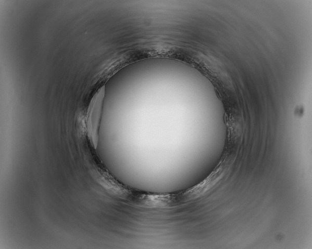 X0000098050188200804111322