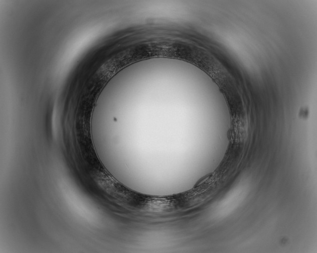 X0000098050189200804111322