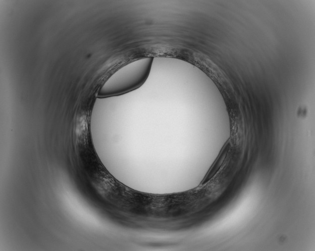 X0000098050191200804111322