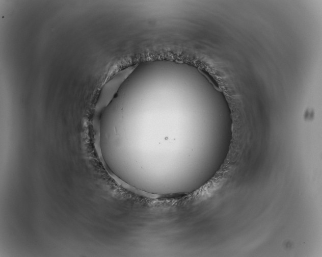 X0000098050192200804111322