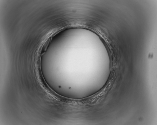 X0000098050193200804111321