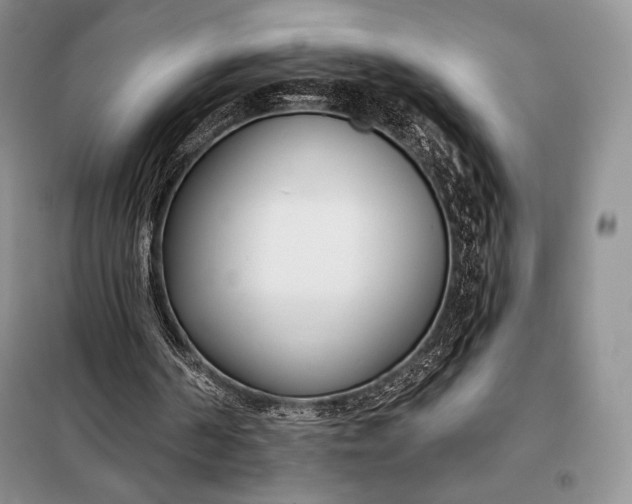 X0000098050194200804111321