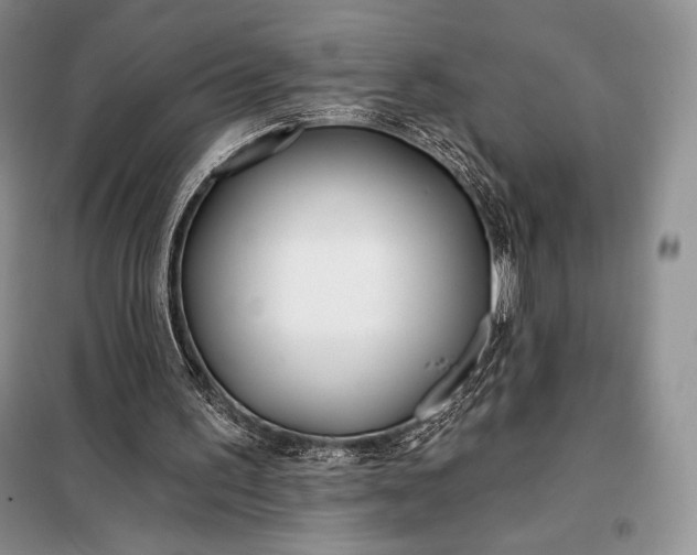 X0000098050195200804111321