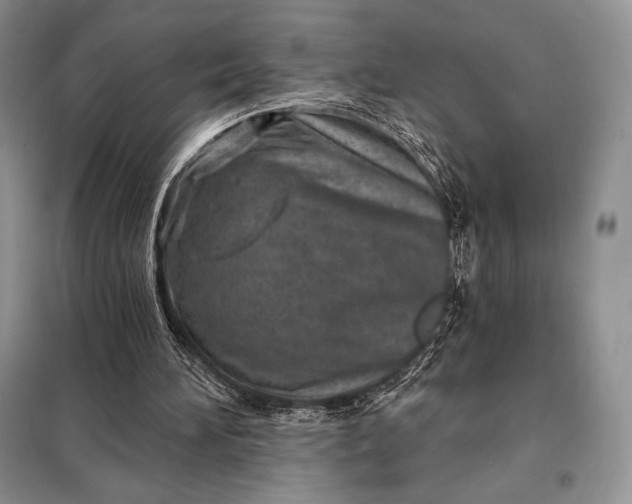 X0000098050196200804111321