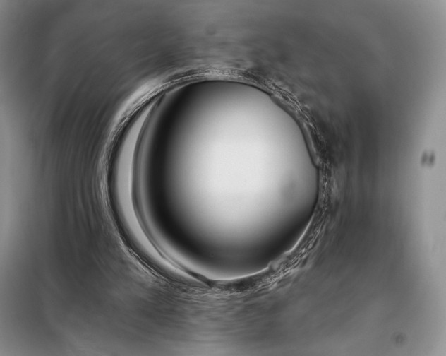 X0000098050197200804111321