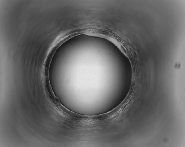 X0000098050198200804111321