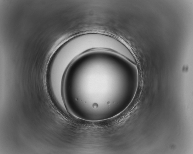 X0000098050199200804111321