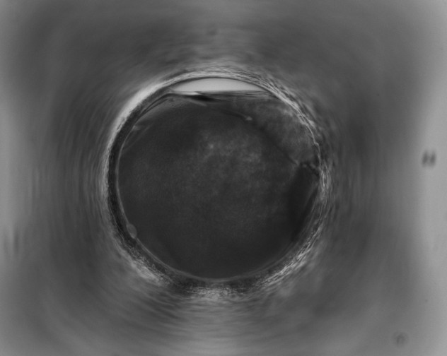 X0000098050200200804111321