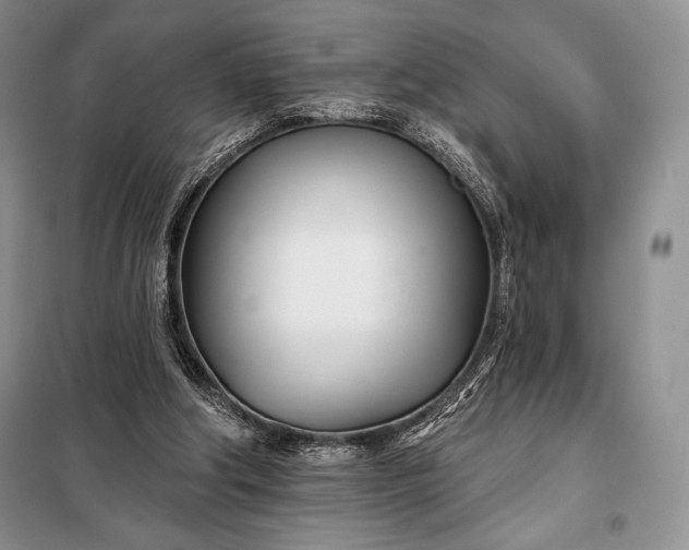 X0000098050202200804111321