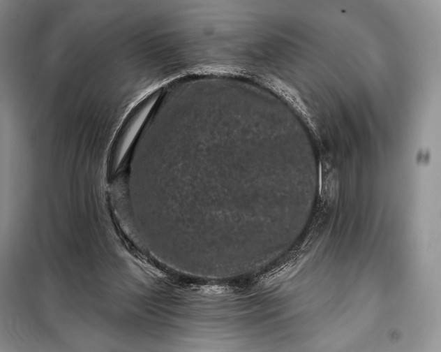 X0000098050204200804111321