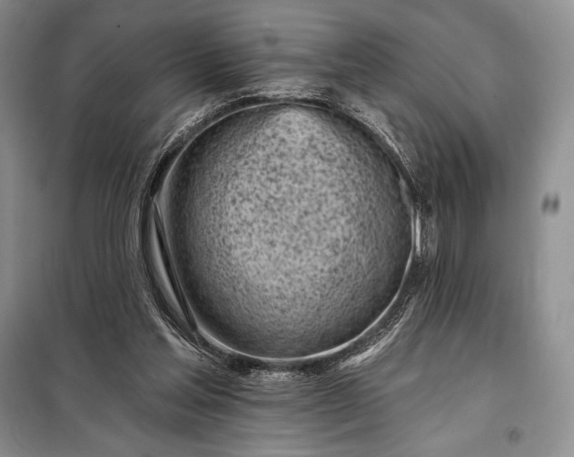 X0000098050205200804111321