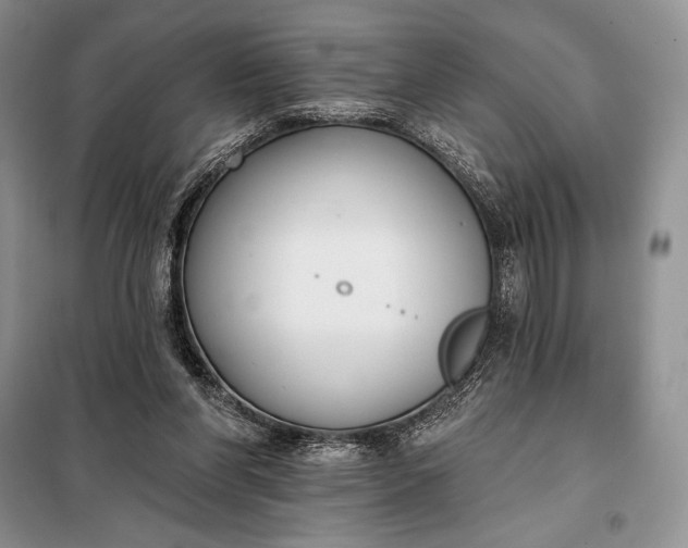 X0000098050206200804111321