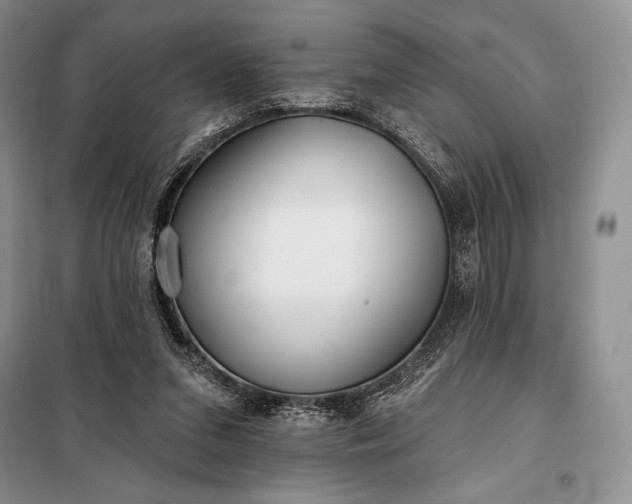 X0000098050207200804111321