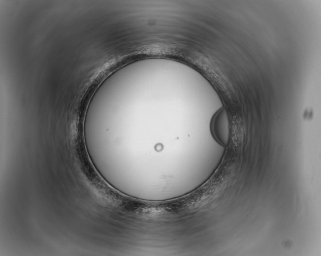 X0000098050208200804111321