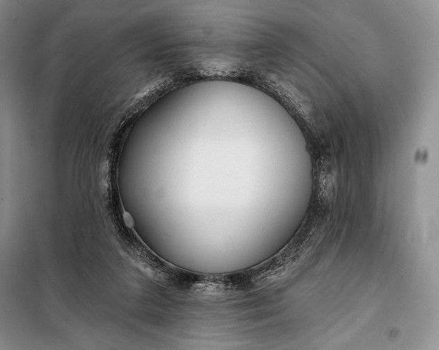 X0000098050211200804111321