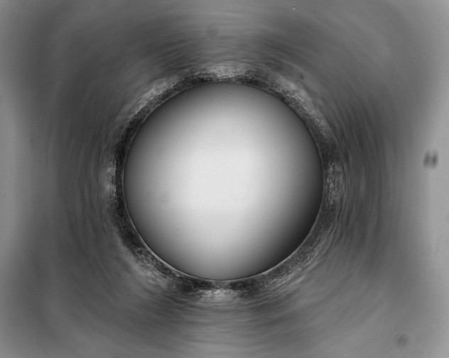 X0000098050212200804111321