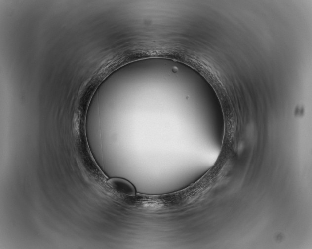 X0000098050214200804111321