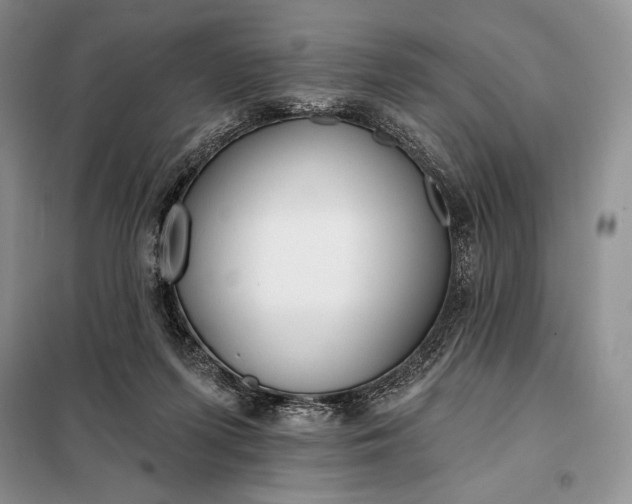 X0000098050215200804111321