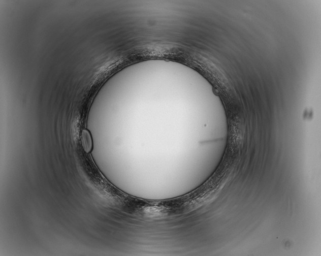 X0000098050216200804111321