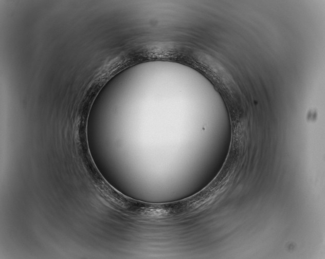 X0000098050217200804111321