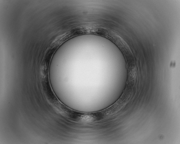 X0000098050218200804111321